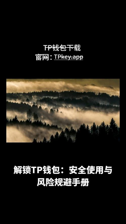 使用TP官方正版下载工具，提升投资透明度与合规性，有效避风险