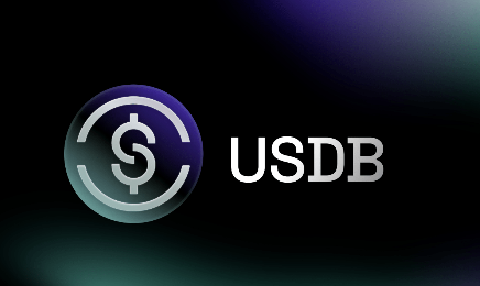 USDB：探索美国数字银行如何引领数字货币的未来变革