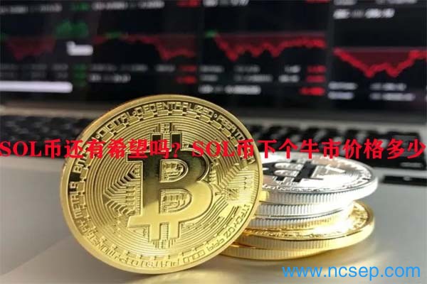 如何通过SOL币进行智能合约的开发与应用_智能合约开发工具_智能合约代币